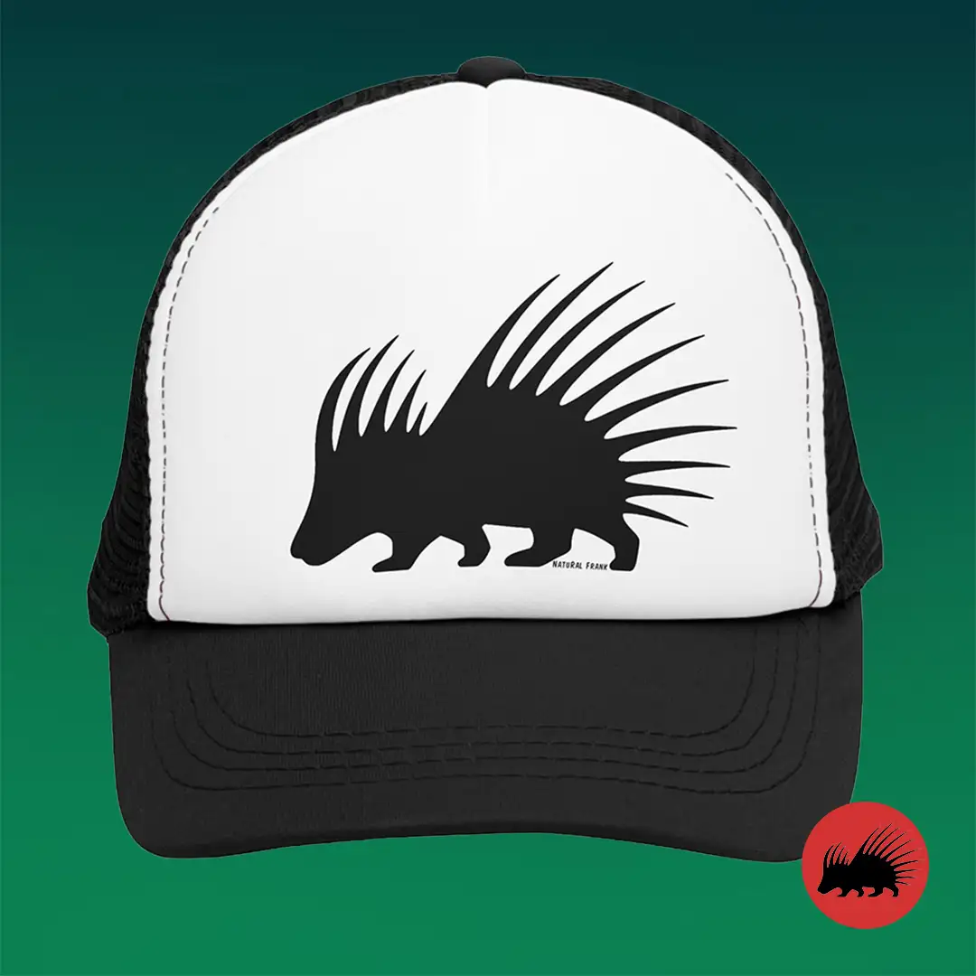 Gorra Logo Espinete Unisex Natural Frank Negra Frente