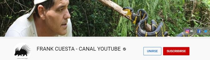 Frank Canal Youtube Official